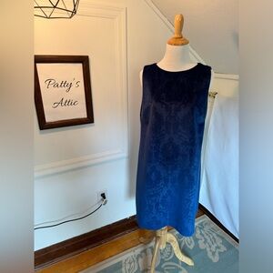 Beautiful Velvety/Velour Dress